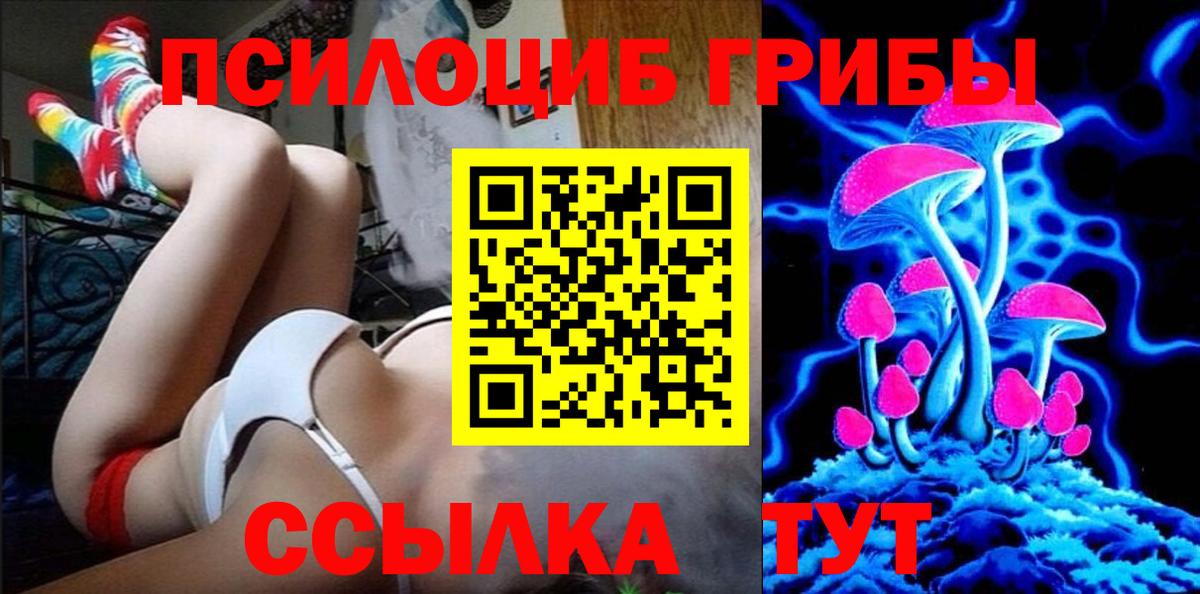 Псилоцибиновые грибы Psilocybine cubensis Кохма